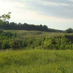 Meet your Posher, Jonas